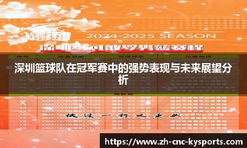 开云kaiyun网页版