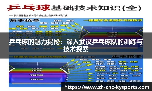 乒乓球的魅力揭秘：深入武汉乒乓球队的训练与技术探索